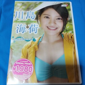 川島海荷 DVD umikaze 未開封新品 LPDD-1071