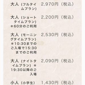 【１〜５枚】有馬温泉 太閤の湯 株主優待券 神戸電鉄 2024年5月31日まで有効 の画像4