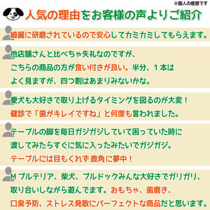 ■ 小～中型犬用 ■ 天然 北海道産 蝦夷鹿の角 ■ 1本 ■ 犬のおもちゃ ■ 無添加 エゾシカ ツノ 鹿の角 犬 21112の画像3