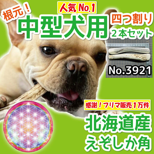 ■ 中型犬用 ■ 根元部分 四半割り 2本セット ■ 天然 北海道産 蝦夷鹿の角 ■ 犬のおもちゃ ■ 無添加 エゾシカ ツノ 鹿の角 犬 39212