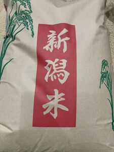 令和5年産　新米　こしいぶき 米 20kg 新潟県　お買い得　安い　生活応援　業務用　精米　白米　送料無料　新潟米 農家直送　