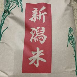 令和5年産 新米 こしいぶき 米 10kg 新潟県 お買い得 安い 生活応援 業務用 精米 白米 送料無料 新潟米 農家直送 の画像1