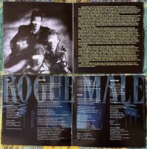 早すぎたパンクとメタルのクロスオーバー　ロウグ・メイル　ROGUE MALE　スラッシュ　リマスター　名盤・廃盤・レア盤_画像4