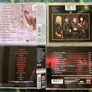 漢メタル 偽メタルに死を マノウォー MANOWAR 海賊 RUNNING WILD ヘタウマ正統派 AXEL RUDI PELL 暴走・爆走 THUNDERHEAD BESTの画像2