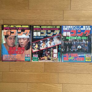 週刊ゴング　1990年 3冊セット ③