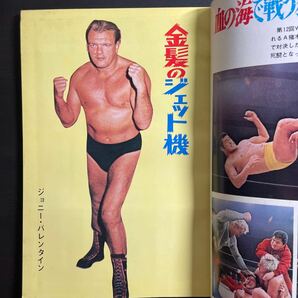 ゴング 1970年6月号増刊 大型ボートレート付属 昭和45年の画像4