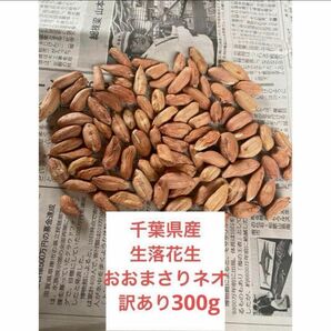 千葉県産生落花生　おおまさりネオ訳あり300g