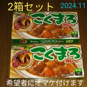 ハウスこくまろカレー★中辛★カレーメシ、 カレーうどん好きに★CoCo壱番屋が好きな方★インスタント食品、レトルト好きに★