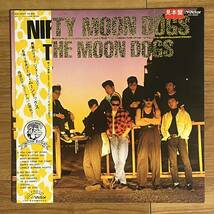 【LP】ザ・ムーンドッグス /NIFTY MOONDOGS / 和モノ/ DOO WOP ドゥーワップ ロカビリー/ OLDIES 50S 60S/ IKURA 帯付_画像1