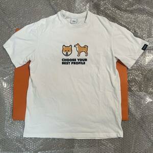 ZARA PARIS ザラ 柴犬 Tシャツ M 白 ホワイト 犬 ティーシャツ ドック 綿 コットン 半袖 イヌ ドック 犬グッズ 柴犬グッズ シバラー 