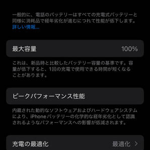 【送料無料 極美品】Apple iPhone15 Pro Max 256GB SIMフリー ナチュラルチタニウム MTUF3J/A【Apple Store購入品】の画像10