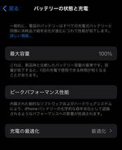 【送料無料 極美品】Apple iPhone15 Pro Max 256GB SIMフリー ナチュラルチタニウム MTUF3J/A【Apple Store購入品】_画像10