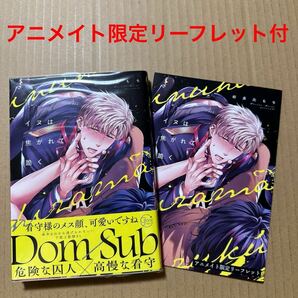 イヌは焦がれて跪く アニメイト限定4Pリーフレット付き 和良比もち【同梱可】の画像1