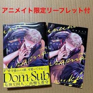 イヌは焦がれて跪く　アニメイト限定4Pリーフレット付き　和良比もち【同梱可】