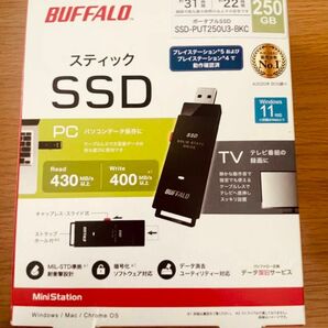 バッファロー　ステックSSD250GB