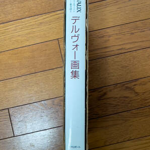 【★希少：リブロポート社】デルヴォー画集 大型本 バーバラ エマーソン (著), 巌谷 国士 (翻訳)の画像2