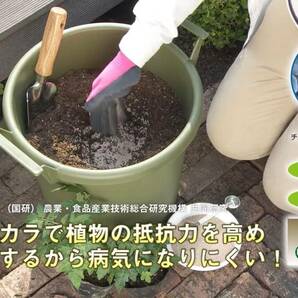 住友化学園芸 殺虫殺菌剤 ベニカXガード 粒剤 550g 顆粒 花 野菜 虫 病気 持続の画像5