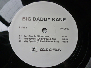 Big Daddy Kane / Stop Shammin' 激アツ！ファンキーHIPHOP CLASSIC 12 名曲カバー Very Special 収録　試聴