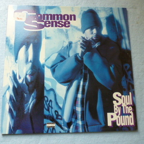 Common Sense / Soul By The Pound 試聴可 12 超渋 90s HIPHOP CLASSIC Can-I-Bust / Heidi Hoe収録の画像1