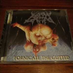 BOUND AND GAGGED Fornicate The Gutted ブルデス BRUTAL DEATH METAL cannibal corpse disgorge brodequin gorgasm goratory abortedの画像1