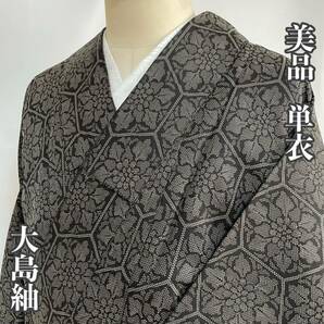 【Wellriver】 美品！大島紬 単衣 着物 お洒落 亀甲柄 花柄 正絹 和装 和服 #C781.の画像1