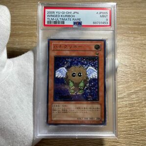 【鑑定品　psa9】　美品　最安値　ハネクリボー　レリーフ　TLM-JP005