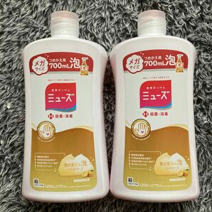 ミューズ　泡ハンドソープ　詰め替え用　フルーティフレッシュの香り　メガサイズ　　700ml × 2個