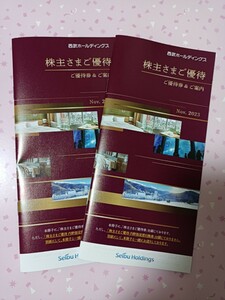 ゆうパケットポストmini送料無料★西武ホールディングス 株主優待★共通割引券 20000円分(1000円×20枚)他★2024年5月31日まで