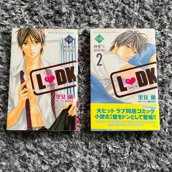 LDK 小説 全巻セット