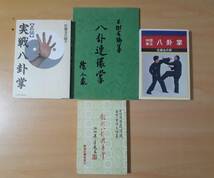 【送料無料】中国武術 八卦掌　※日本語本＆中国語本 合計４冊　★おまけ付き★_画像1