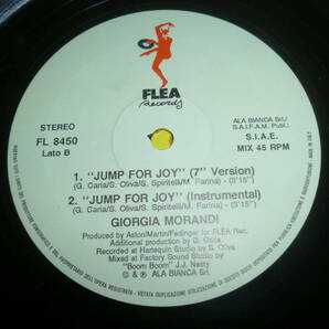  12” GIORGIA MORANDI // JUMP FOR JOY の画像5