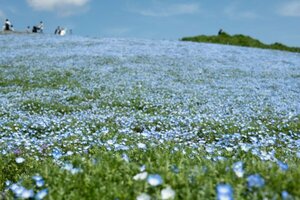 0703② 風景写真 L/2Lサイズ 当方オリジナル撮影フリー写真