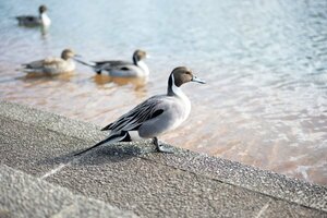 0719② 風景写真 L/2Lサイズ 当方オリジナル撮影フリー写真