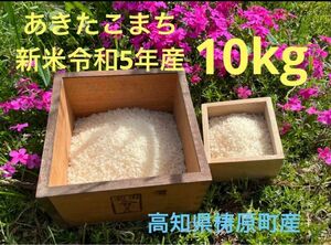 新米　あきたこまち　令和5年産　10キロ　お米　高知県　農家直送　有機栽培　 白米 生産農家直送 米