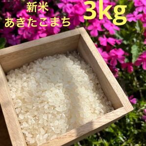 新米　あきたこまち　令和5年産　3キロ　お米　高知県　農家直送　