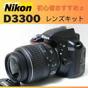 ショット数2504回！Nikon D3300 レンズキット 一眼レフ