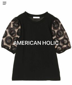 アメリカンホリック　袖レース　ボリューム袖　シースルー　Tシャツ プルオーバー　カットソー　パフスリーブ　M S XS 