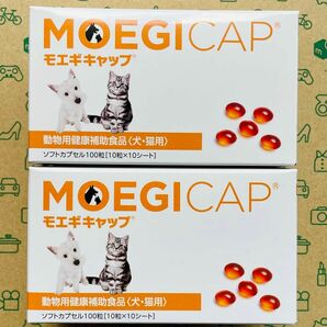 モエギキャップ 100粒×2箱 動物用健康補助食品【賞味期限:2025.12】