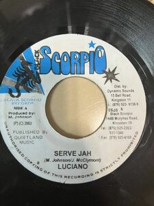 Luciano / Serve jah レゲエ　レコード　293