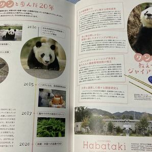 神戸 王子動物園 Habataki タンタン 旦旦 特集号 冊子  １冊 ポスター ジャイアントパンダ パンダ レア 珍品の画像4