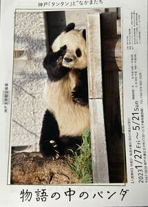 企画展　タンタン　物語の中のパンダ フライヤー チラシ ３枚セット 神戸王子動物園　ジャイアントパンダ