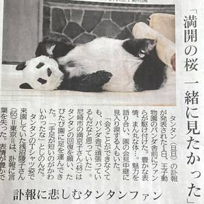 国内最高齢パンダ28歳 タンタン 天国へ 2024年4月2日 神戸新聞 記事 ジャイアントパンダ 神戸 王子動物園 旦旦 まるごと1紙の画像3