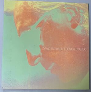 UKオリジナル限定盤2LP David Axelrod DJ Shadow Mo Wax