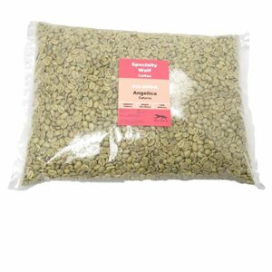 コーヒー 生豆 「コロンビア アンジェリカ」 2kg