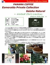 コーヒー 生豆 「パナマ エスメラルダ農園 ゲイシャ種 プライベートコレクション2022 ウォッシュド」 500g_画像3