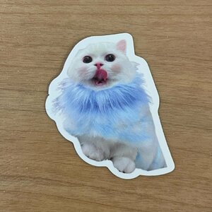 【即日発送】猫ミーム ステッカー 1枚 ブルー