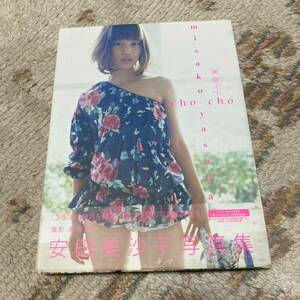 cho-cho Yasuda Misako photoalbum wistaria fee . sand with belt 1580