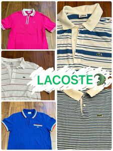 LACOSTE ラコステ ポロシャツ まとめ売り