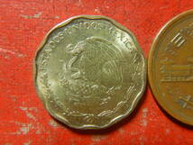 外国・メキシコ／５０センタボ・アルミニウム青銅貨（2006年）　240412_画像1