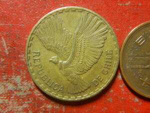 外国・チリ／１０センテシモ・アルミニウム青銅貨（1965年）　24041202